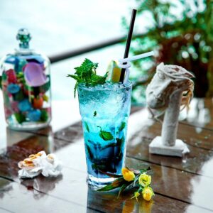 Ocean Mojito
